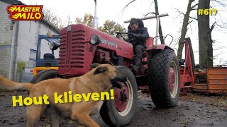 Hout klieven met zaagkloofmachine amp de Farmall 617 [upl. by Giustina]