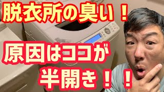 脱衣所がカビ臭い！洗濯機周辺が下水臭い！原因はココだった！【臭いの原因】【排水溝】【洗濯機】【洗濯パン】全て綺麗にします！！ [upl. by Elyse]