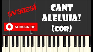 🎹 Ken Tucker  Cânt Aleluia tutorial PIAN  voce  nivel avansat [upl. by Aennil328]