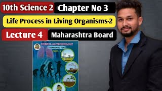 10th Science 2  Chapter 3  Life Process in Living Organisms 2  Lecture 4  maharashtra board [upl. by Suiratnauq]