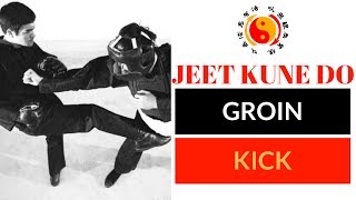 Jeet Kune Do Technique  JKD Groin Kick [upl. by Stochmal]