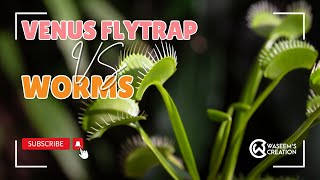 Worms Vs Flytrap [upl. by Nnitsuj]