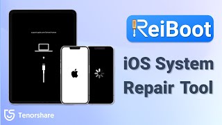 Tenorshare ReiBoot  World NO1 iOS System Repair Tool Fix without Data Loss [upl. by Zerdna]