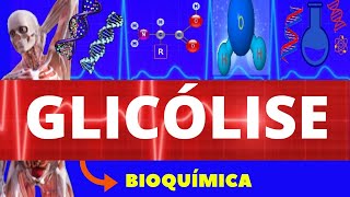 GLICÓLISE  BIOQUÍMICA ENSINO SUPERIOR  RESPIRAÇÃO CELULAR  VIA GLICOLÍTICA [upl. by Corbet]