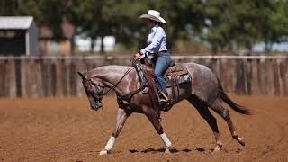 Hip No 1021 NRCHA Snaffle Bit Futurity Sale  MATES BLU BOON by Once In A Blu Boon [upl. by Atekram]