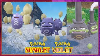 Pokemon Scarlet amp Violet How To Evolve Koffing Into Weezing amp Forms [upl. by Odnomyar]