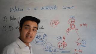 Why Water is Universal Solvent [upl. by Sedgewake]