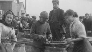 North Sea Fisheries North Shields 1901 [upl. by Adalard]