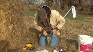 How To Take a Representative Forage Sample [upl. by Bryna805]