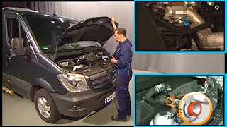 MercedesBenz Sprinter amp Vito  How to diagnose turbocharger issues  W639 W906 OM642 [upl. by Engapmahc]