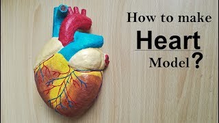 How to make Human Heart Model  Part 12 [upl. by Howell125]