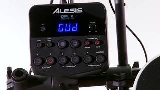 Alesis DM Lite Kit Module Overview [upl. by Otecina117]