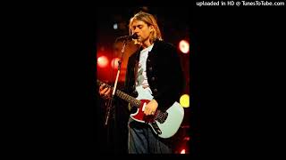 Nirvana  HeartShaped Box Live And Loud 1993 Drop D Tuning [upl. by Leay]