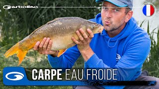 Astuces Carpe au Coup en hiver et eau froide [upl. by Emsmus307]