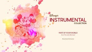 Disney Instrumental ǀ Neverland Orchestra  Part Of Your World [upl. by Lenny]