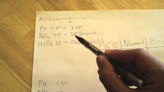 How to Master ABGs Arterial Blood Gasses [upl. by Alice447]