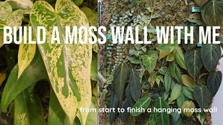 BUILD A LIVING MOSS WALL WITH ME  putting together and planting my moss wall from scratch [upl. by Nidorf]