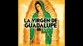 Las Mañanitas a La Virgen  Miriam Solís  Canciones con Mariachi a La Virgen [upl. by Yllom120]