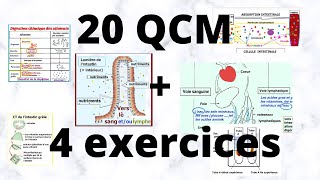 20 QCM  4 exercices corrigés digestion et absorption nutriments SVT 3 Année collège [upl. by Nadeen822]