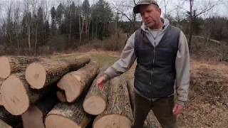 Salvaging Lumber From The Emerald Ash Borer [upl. by Enneiluj]