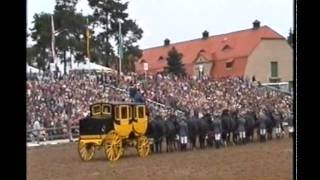 16Spänner Postkutsche Moritzburg  Hengst springt über die Bracke bei der Hengstparade [upl. by Wareing908]