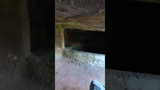 Inside of The megalithic chambered tomb of Dwarfie Stane Island of Hoy Orkney [upl. by Ettegroeg]