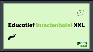 Video Educatief Insectenhotel XXXL [upl. by Iahs791]