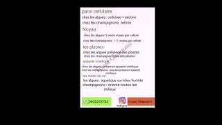 biologie vegetale les thallophytes [upl. by Atirat]