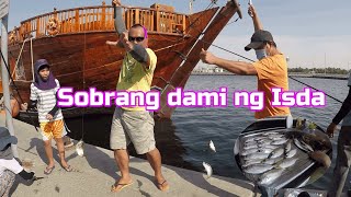 Fish Hunting l Best place to catch matambaka bigeye scad in dubai UAEl Dubai Fishing Spot  9 [upl. by Tegan201]