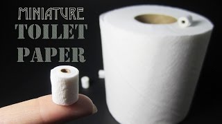 DIY Miniature Toilet Paper Roll [upl. by Haakon]