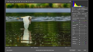 Photoshop  Basi di Camera raw [upl. by Myrilla260]