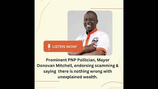 Nothing wrong with unexplained wealth says PNP Mayor Donovan Mitchell [upl. by Ruthven]