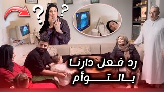 صدماتهم بالتوأم [upl. by Leiad]