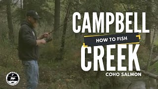 How to fish for coho salmon at Campbell Creek in Anchorage AK [upl. by Inavihs484]