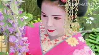 The experience of maiko at Kyoto gion AYA [upl. by Lord203]