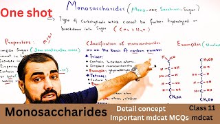 Monosaccharide  One shot Classification of carbohydrates  class 11  in Urdu  Hindi medium [upl. by Marcellus564]