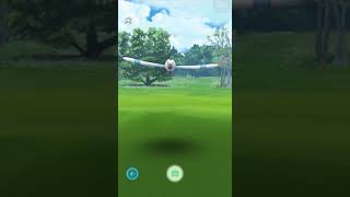 Pokémon Go  278 Wingull 279 Pelipper Hoenn [upl. by Anala636]