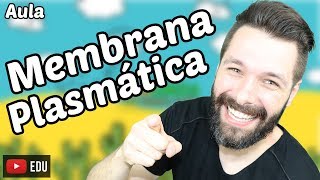 Membrana Plasmática  Funções e Estrutura  Biologia com Samuel Cunha [upl. by Lauren126]