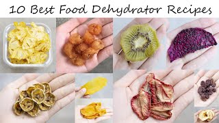 10 Best Food Dehydrator Recipes You Will Want to Try [upl. by Joung695]