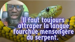 LE DOUBLE LANGUAGE DU SERPENT [upl. by Fihsak]