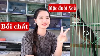 249 MỘC amp BỔI VIP XOÈ CỨNG PHÁCH ĐÁNH GẤU CHIẾNCẦU CÁNH MỎ CỰC TỐT TỐ CHẤT  ĐÁNG GỘT [upl. by Veriee]