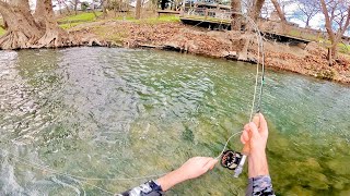 Fly Fishing Texas for Rainbow Trout on the Guadalupe River [upl. by Schram]