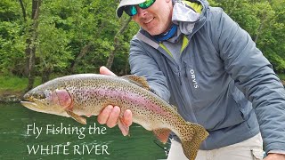 Fly Fishing the WHITE RIVER in Arkansas for MONSTER TROUT [upl. by Elleined]