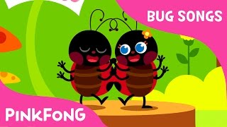 Hey Ladybug  Bug Songs  Pinkfong Songs for Children [upl. by Gaivn]