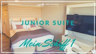 Neue Mein Schiff 1 Junior Suite 10023 [upl. by Eekaz649]