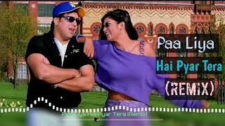 Paa Liya Hai Pyar Tera Remix  Govinda Song  Alka Yagnik Udit Narayan  Dj Song  HD [upl. by Kcitrap]