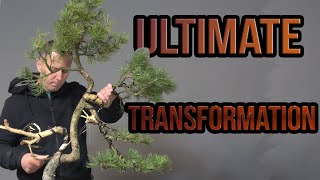 Ultimate transformation [upl. by Harhay]