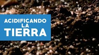 ¿Cómo acidificar la tierra [upl. by Aner]