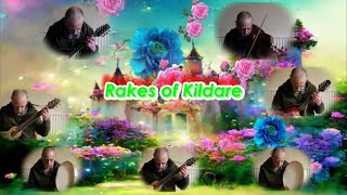 quotRakes of Kildarequot played by Mike and the Clones [upl. by Anilejna]