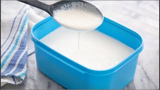 How to Make Yogurt From Scratch With Just 3 Ingredients  BONUS BREAKFAST RECIPE  ZEELICIOUS FOODS [upl. by Merilyn790]